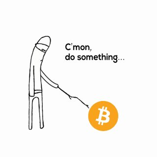 Bitget tweet media