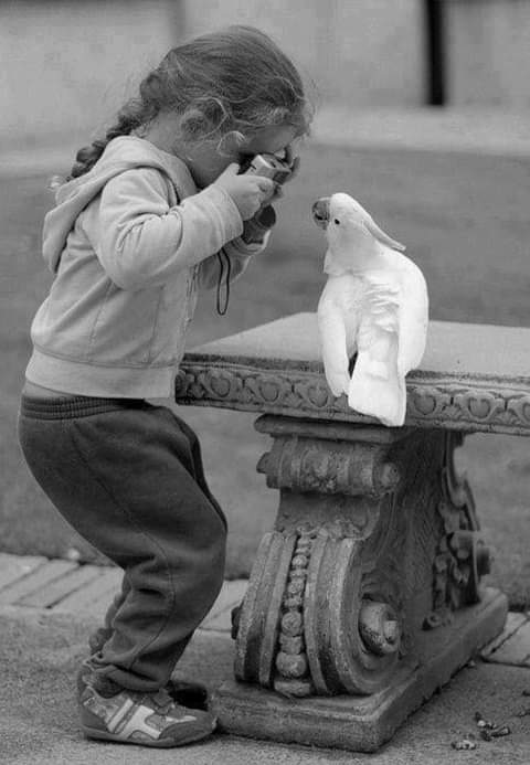 literlandweb1's tweet photo. "Todo niño es un artista que canta, baila, pinta, cuenta historias y construye castillos. Los grandes artistas son personas extrañas que han logrado preservar en el fondo de su alma esa candidez sagrada de la niñez".
"La resistencia", Ernesto Sabato https://t.co/RLRZRdyzNi