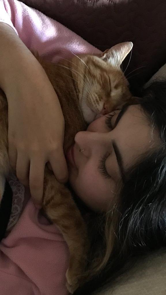 tippythekitten's tweet photo. is tipe and mome birday!!! i am 2 https://t.co/8mZPmsCiHV