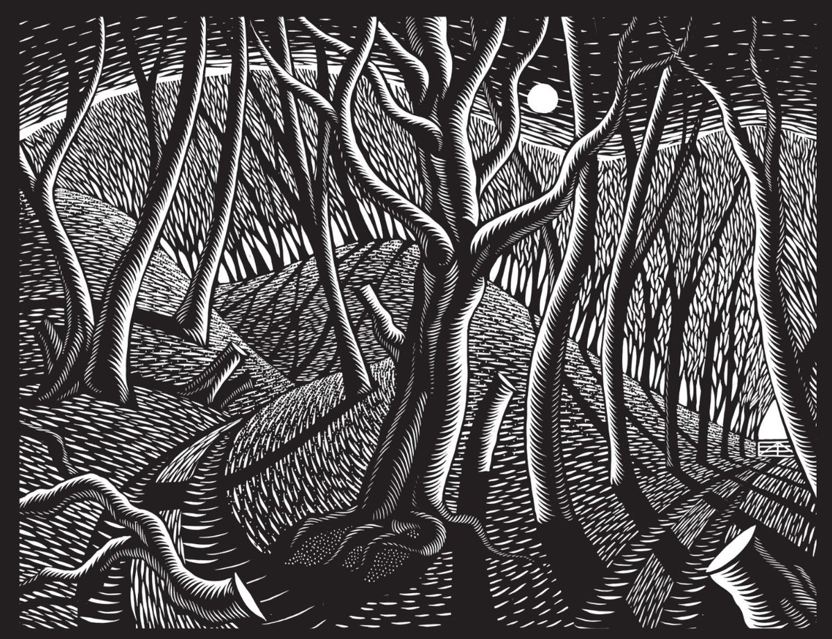 The Trespasser's Companion is finally in stock here at the bookshop...a wonderful treasure of a book, filled with Nick Hayes' exquisite woodcut illustrations throughout...

Second image is an illustration by Nick Hayes for The Book of Trespass