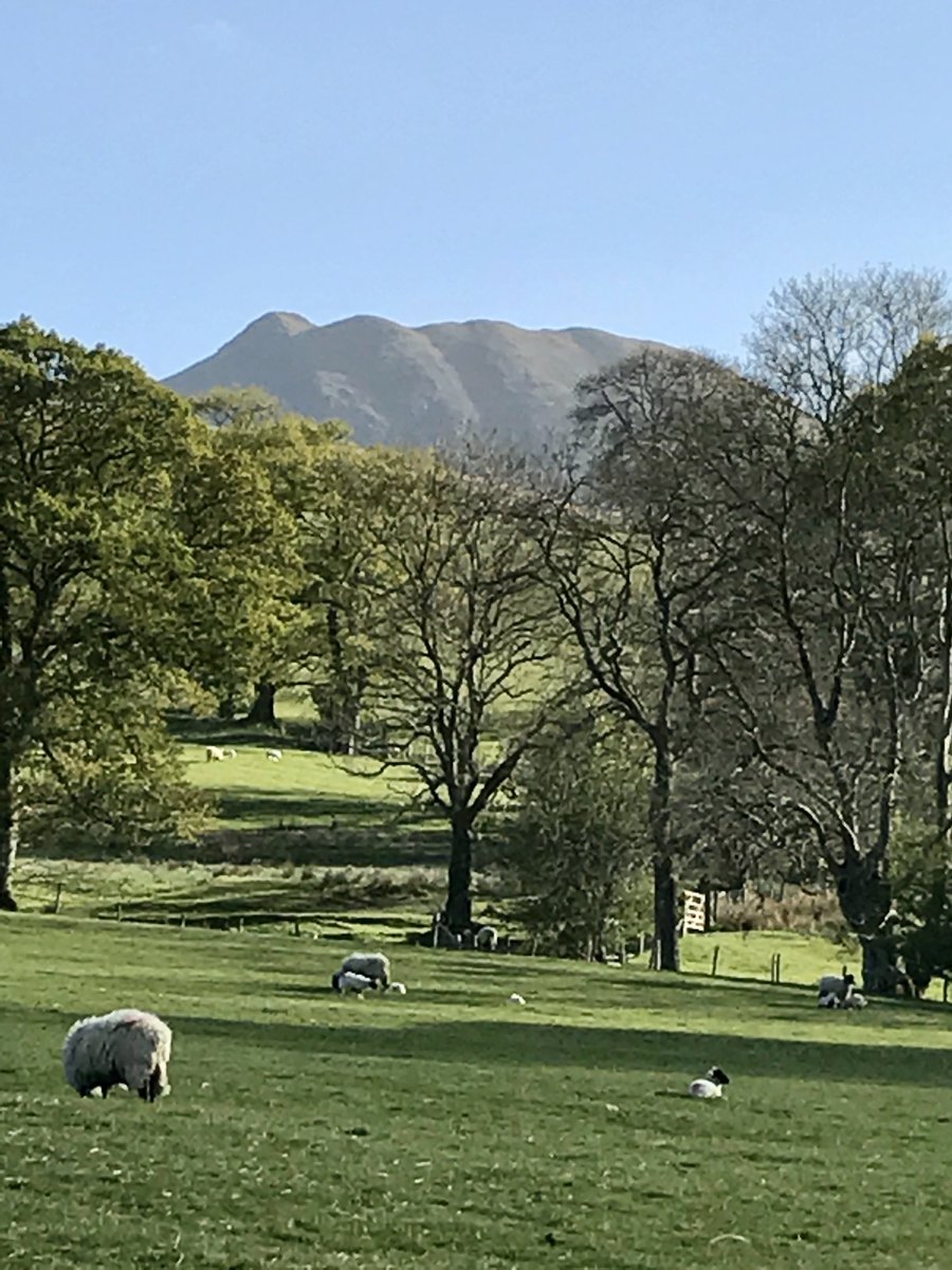 Nestled at the bottom of the Coledale horseshoe, we stock as many local suppliers as possible.  Hot snacks all day. #keswick #cumbria #shoplocal #shopsmall #villagelife #photography #localales #coledalehorseshoe #localmeats #lakedistrict #freshbakes #icecream #camping #cycling