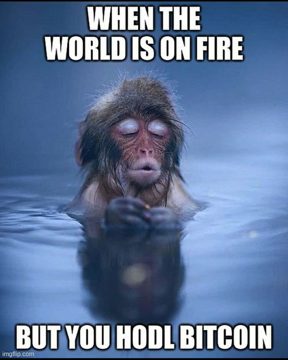 Ren Research tweet media