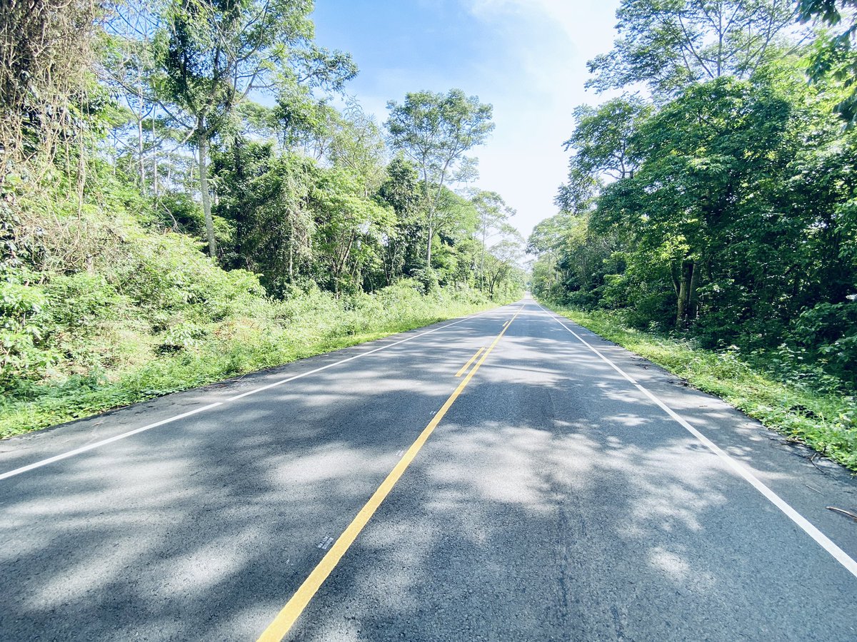 TrendRoomUG's tweet photo. Murchison Falls National Park road in 2019
Vs
Murchison Falls National Park road in 2019
#ConserveUG #NEMAct https://t.co/Gj2EWQCRQH