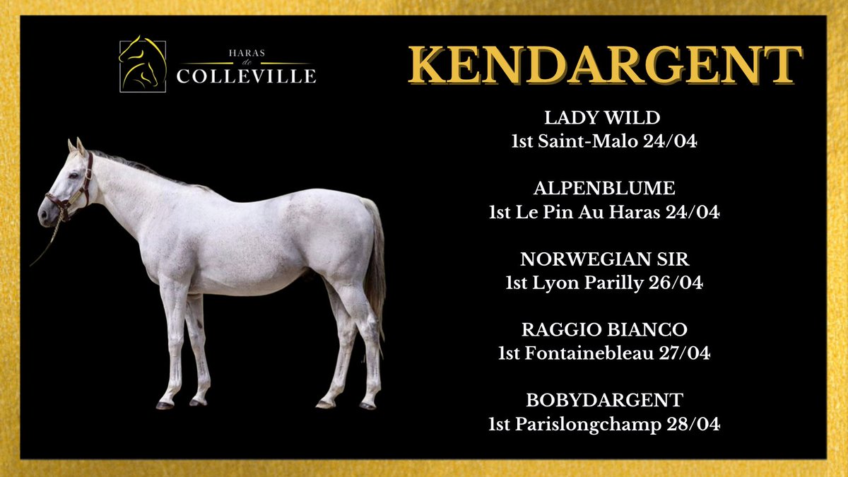 HarasColleville's tweet photo. A very good week for Kendargent with a total of five winners on French soil https://t.co/hpBqsX7yzu