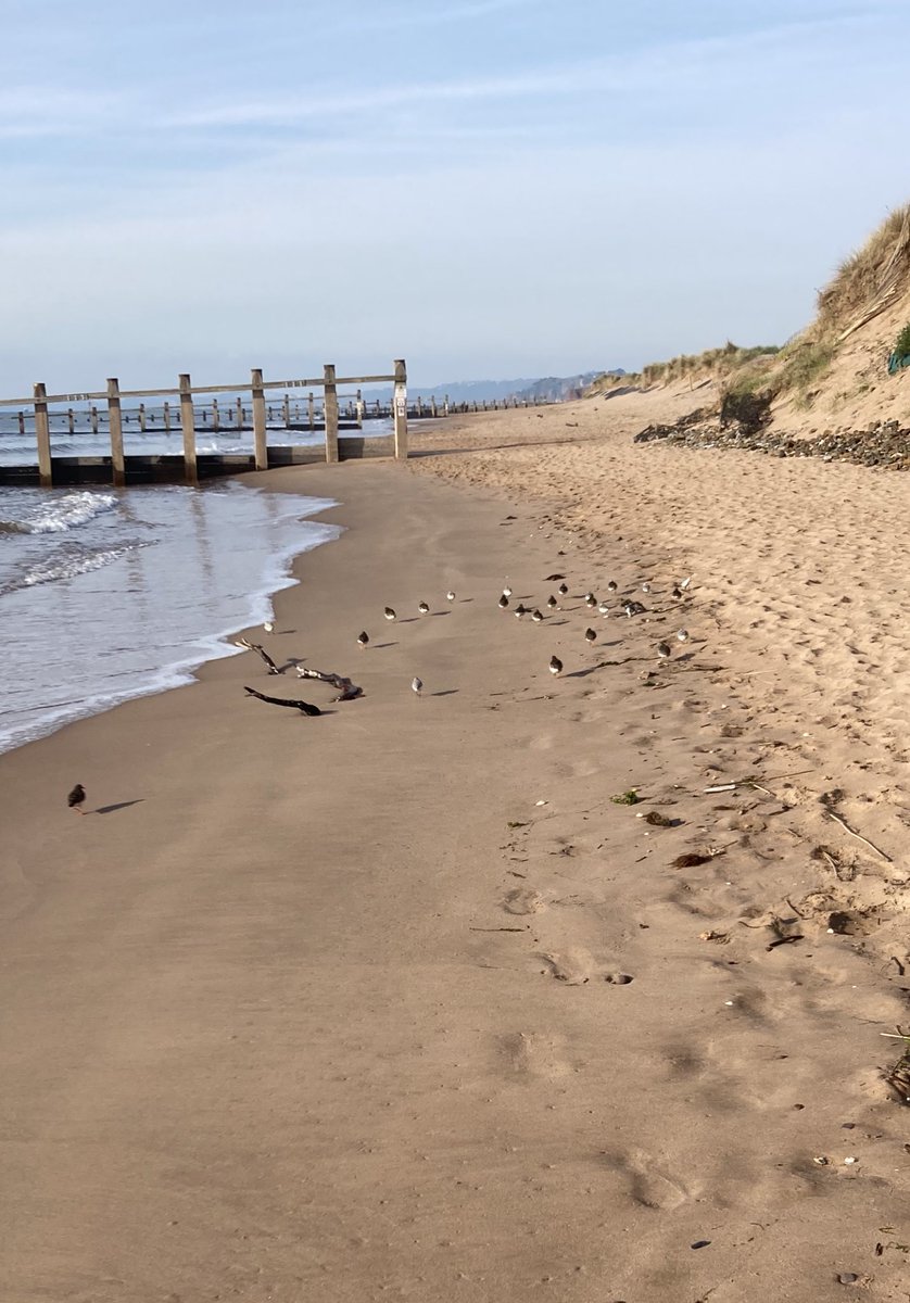 CoxonGeorge's tweet photo. #shellducks #dunlins sea swim 🏊‍♂️ 🏊‍♂️🏊‍♂️🏊‍♂️. Read the hat 🤔. #socialcareswimclub @juliagapowell @suzysopenheart https://t.co/5xByNPbCII