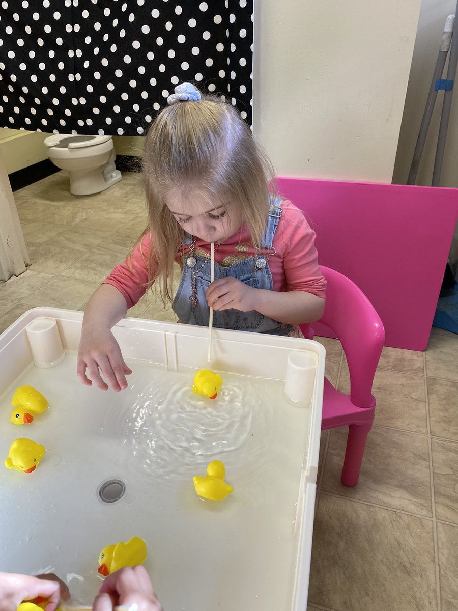 bssgr1's tweet photo. It’s “Farm Week” in PreK-3! Click the Seesaw link below to see more! https://t.co/gGCN6sMpIK
@bsskndg @RCDASchools @EvangelistALB https://t.co/yk8HENwaHH