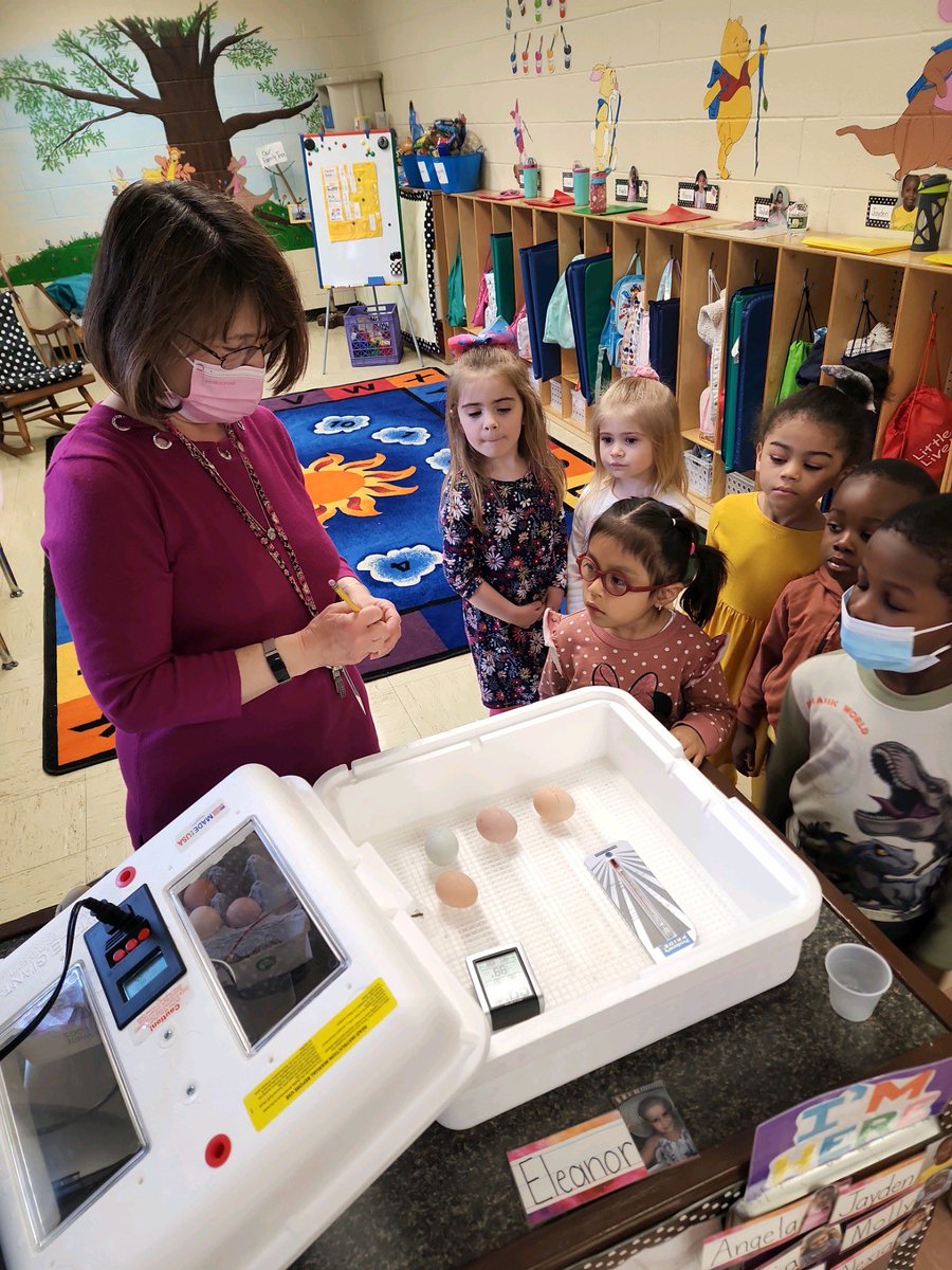 bssgr1's tweet photo. It’s “Farm Week” in PreK-3! Click the Seesaw link below to see more! https://t.co/gGCN6sMpIK
@bsskndg @RCDASchools @EvangelistALB https://t.co/yk8HENwaHH