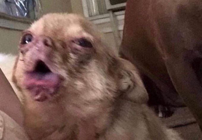 Just seen that #dubaiportapotty video.  This industry has destroyed me because I didn&rsquo;t even flinch &amp;<a href="/tag/dubaiportapotty"class="tags">#dubaiportapotty</a>