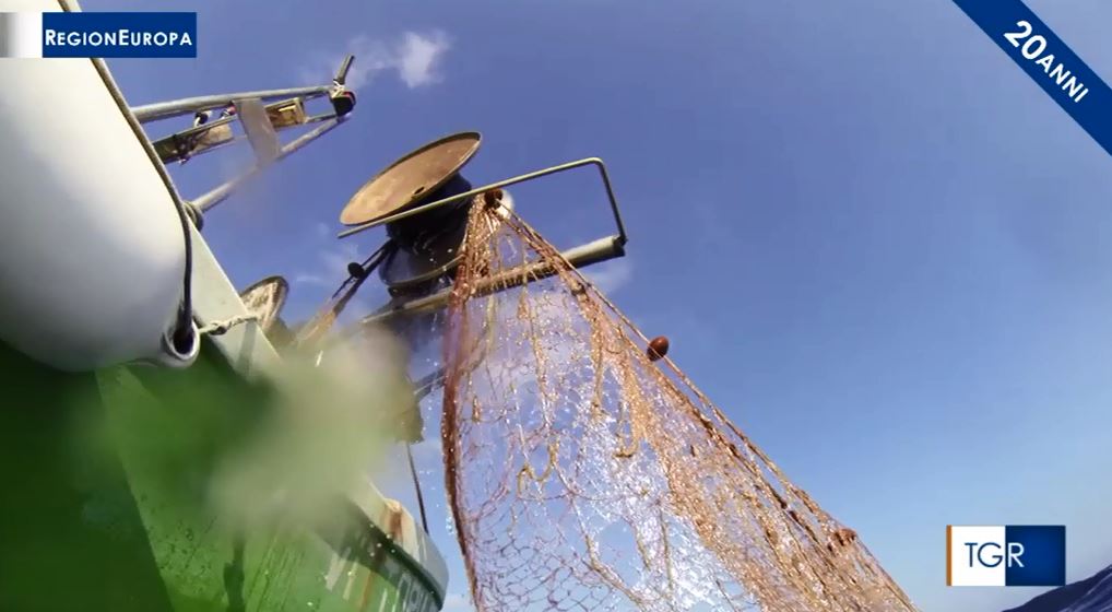 Tgr RegionEuropa tweet media