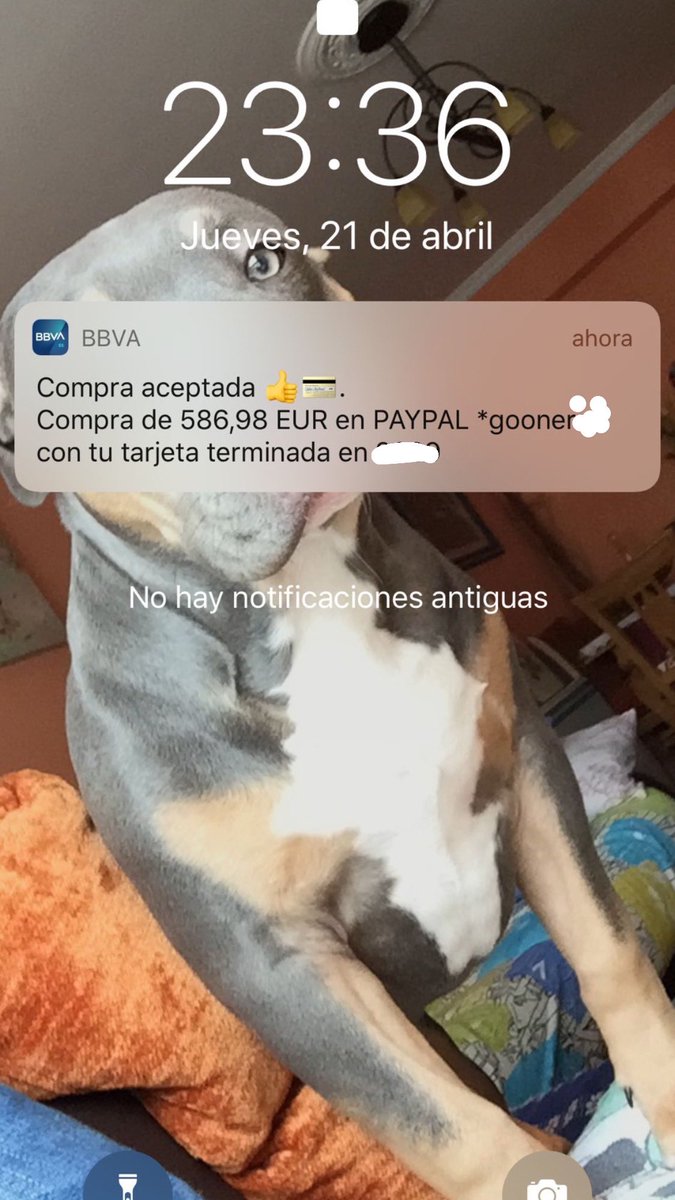 Yesterday twitter banned me for 12 h and delete my twit 🤣, <a href="/GoonerEU/">Jay</a> @GoonerEU_  send MY money or send the ps5... stop jokes💆🏼