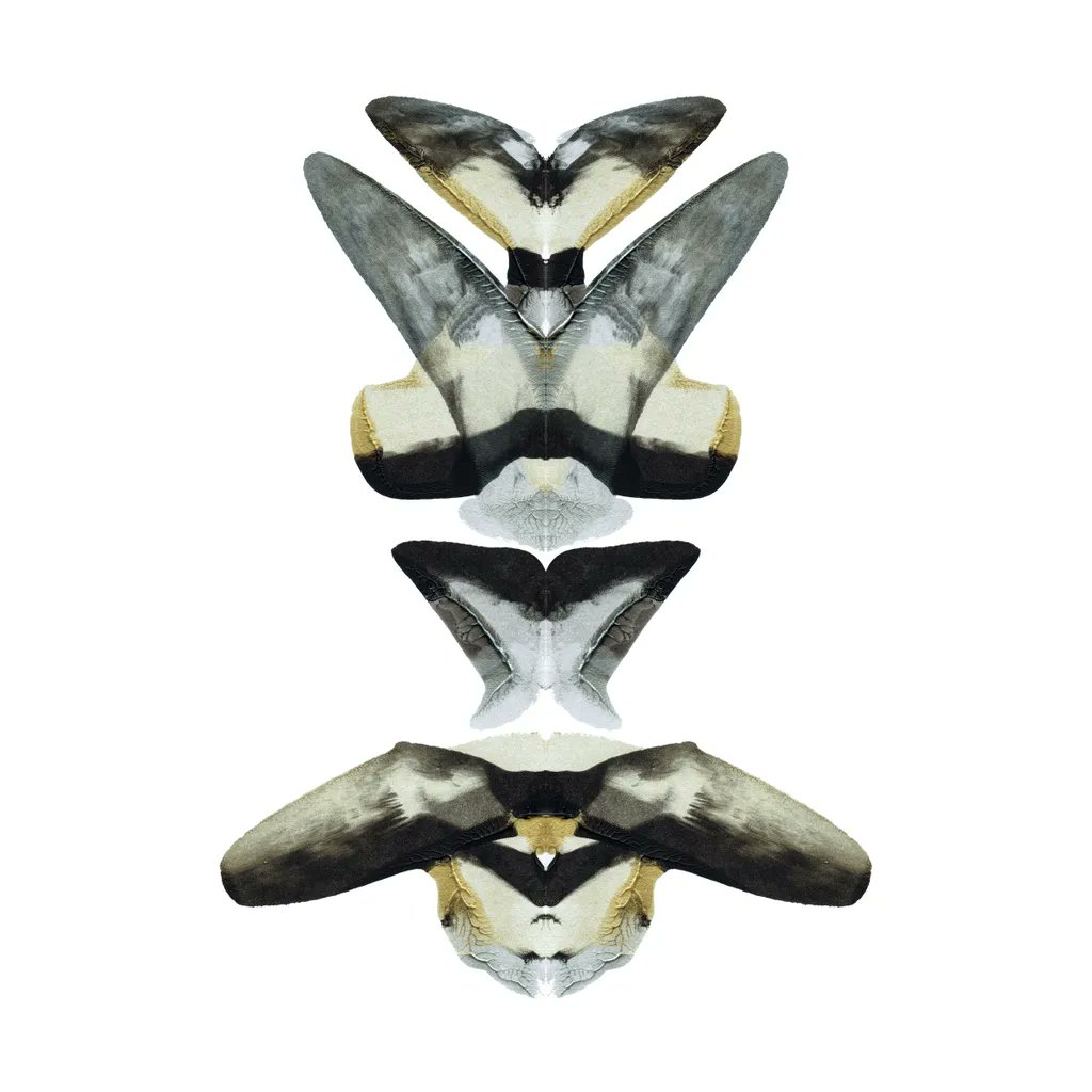 nft0tem's tweet image. 0406/1000 - Relics From The Future Collection.
#nft #art #abstractart #cryptographic #painting #artcommunity #nftcommunity