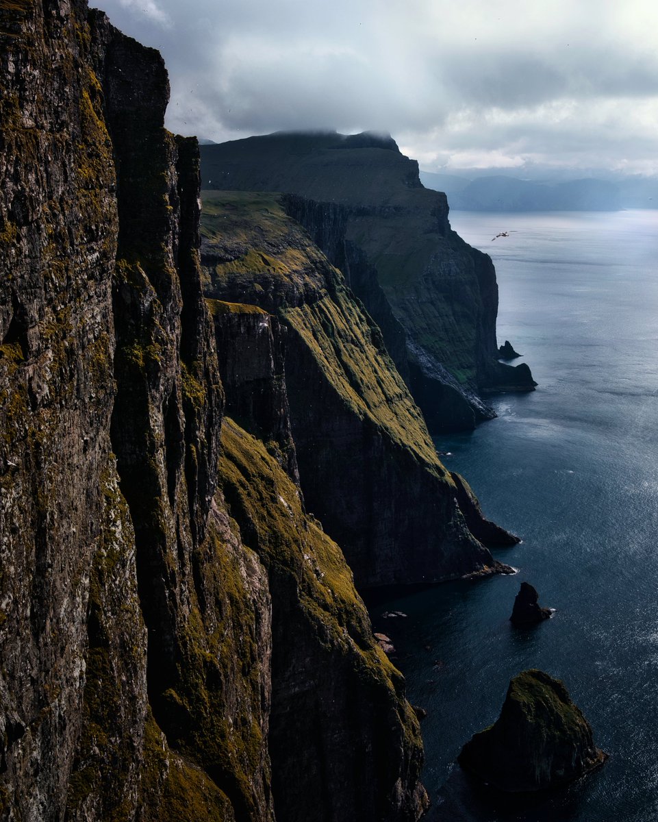 Untamed, untouched, untrodden. 

#NFTCommuntiy #outdoor #photography