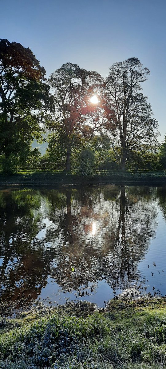 akajools's tweet image. Beautiful  early   morning   walk