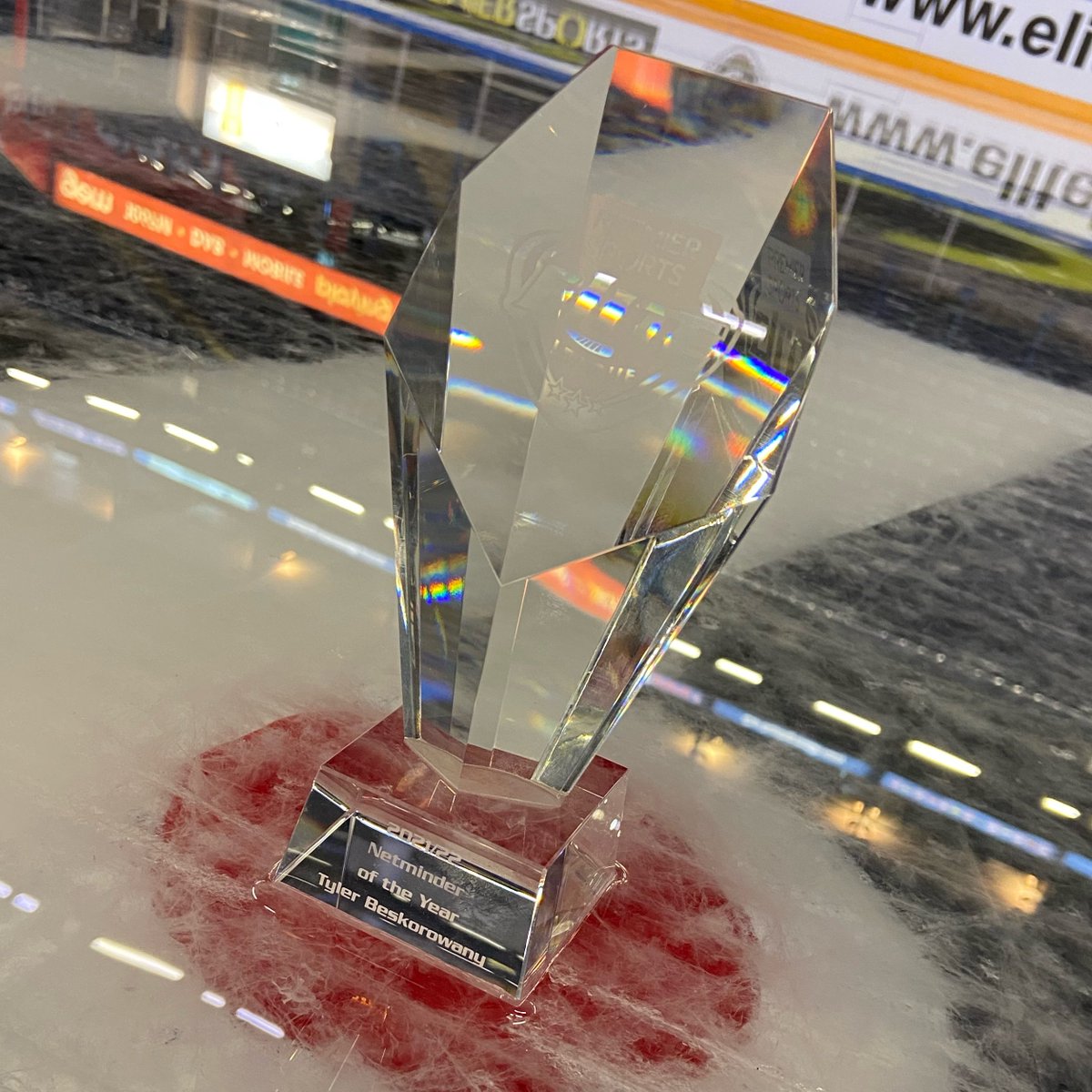 Netminder of the Year | #EIHL #2022EIHLAwards

Congratulations: Tyler Beskorowany!