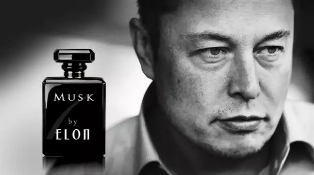 davidvdveken's tweet photo. @HoeyberghsJeff Smells like  #TheMuskEffect 😁 https://t.co/jQf00KF1JE