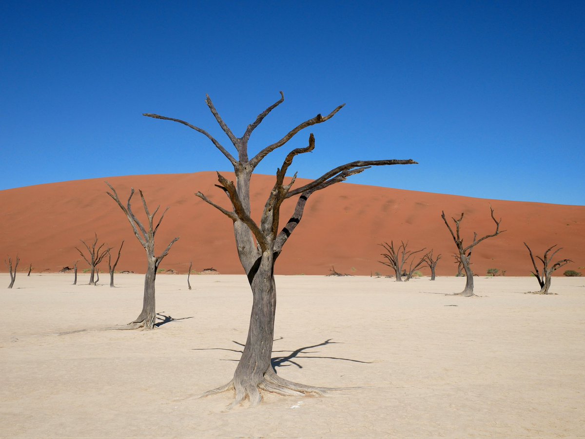 EmmaKustermans's tweet photo. Vers terug uit Namibië, waar ik een bruiloft had van twee goede vrienden die elkaar - en mij - vijf jaar geleden in Pretoria leerden kennen. De ceremonie, het land, de reis, het gezelschap - alles was nog mooier dan ik had durven dromen 🧡 https://t.co/kW7hqpW6Uk