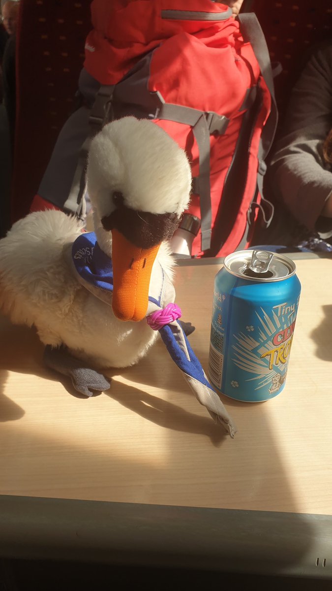 Just a small town swan. He caught the midday train going anywhere...
<a href="/SSAGO_UK/">SSAGO</a> <a href="/Keele_SSAGO/">Keele SSAGO</a>