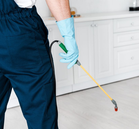 fastpestcontrol's tweet photo. Get ultimate #pestcontrolservices at Fast Pest Control. We provide best #pestremovalservices in #Brisbane at a very nominal price. 
Visit our website to checkout the range of our services. https://t.co/7Fn7twh2gv 
Free quotes are also available at 0488 849 399. https://t.co/pyWzkzZ1fl