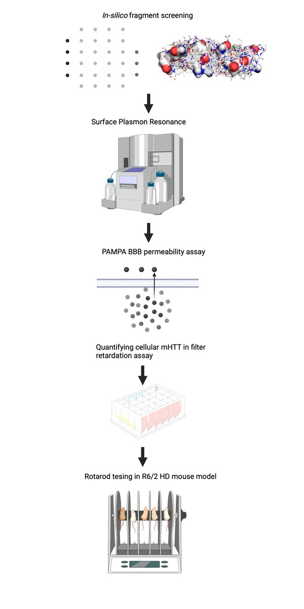 CollinEwald's tweet photo. Check out this innovative approach of using #AI to predict #drugs. Fragment-based virtual screening identifies a first-in-class preclinical drug candidate for Huntington’s disease. I am thrilled to be part of this. #Ewaldlab @ETH_en https://t.co/eGk8x7pofd https://t.co/lznCzUp70y