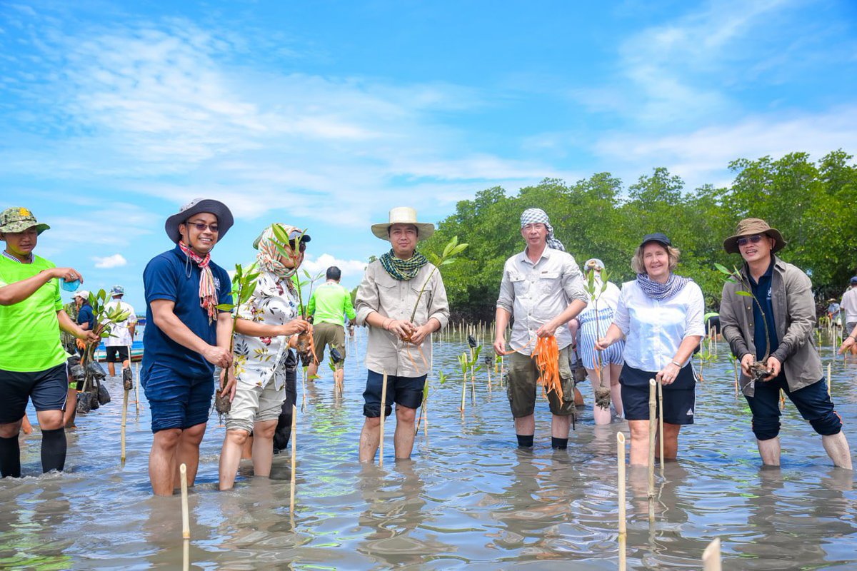 pheaktraneth's tweet photo. Today, I joined with British Ambassador @tsredshaw to plant 1,000 mangroves in Prek Tnaot fishing community, Kampot province. Thank you #UK Embassy #BCAAC and #Prudential to support this event #Cambodia https://t.co/NsmrfK7wfr