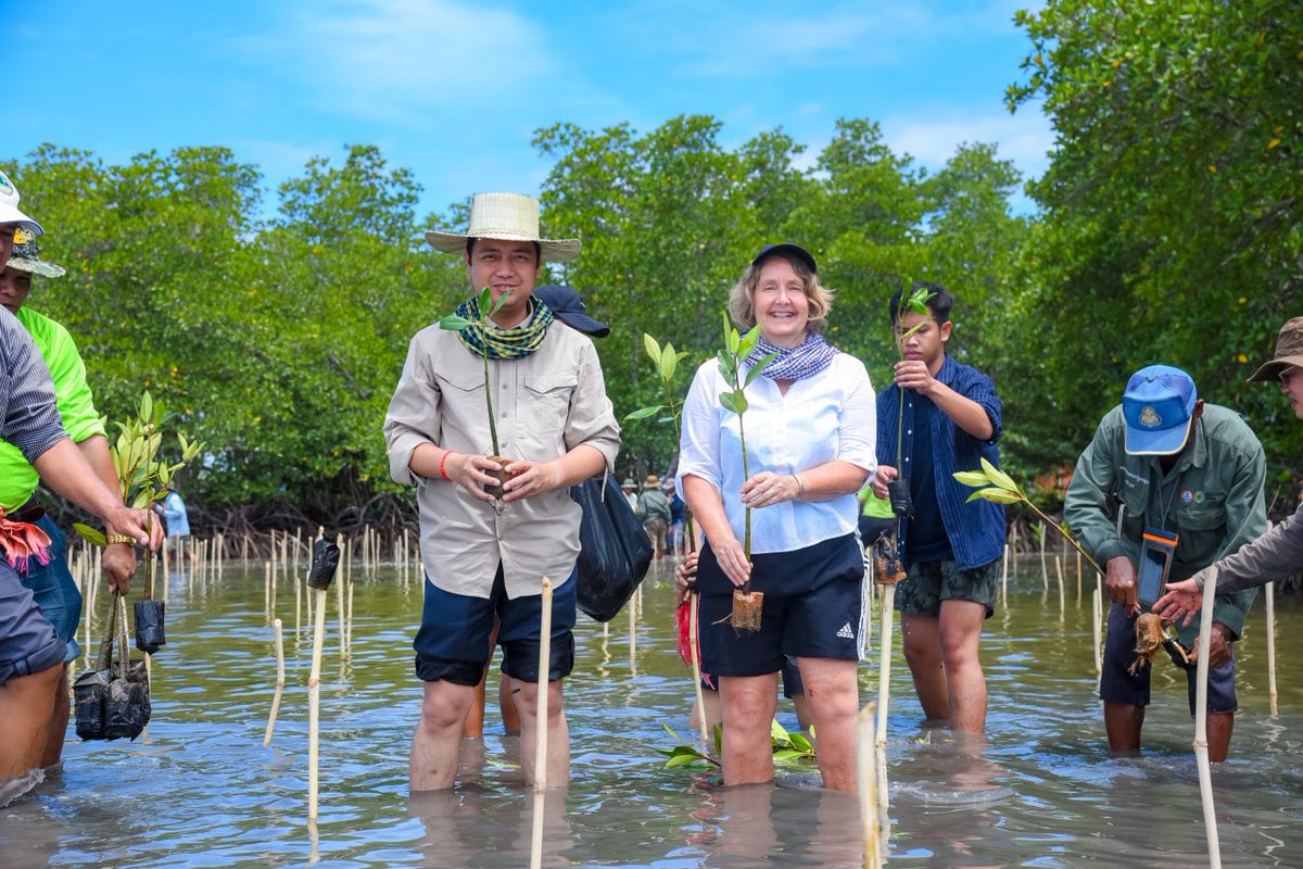 pheaktraneth's tweet photo. Today, I joined with British Ambassador @tsredshaw to plant 1,000 mangroves in Prek Tnaot fishing community, Kampot province. Thank you #UK Embassy #BCAAC and #Prudential to support this event #Cambodia https://t.co/NsmrfK7wfr