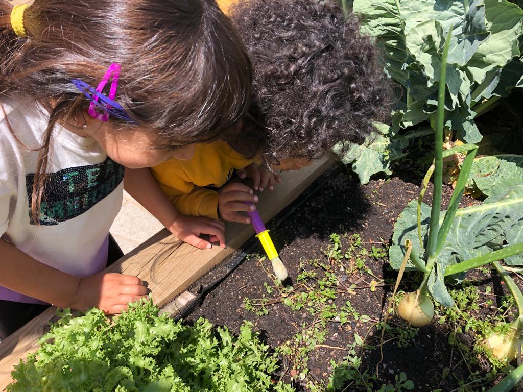 vedrunacent's tweet photo. Sortim a descobrir els insectes que viuen al nostre pati!🐝🐞🦋🌞
#P4SSCC https://t.co/edp6jkiOy1