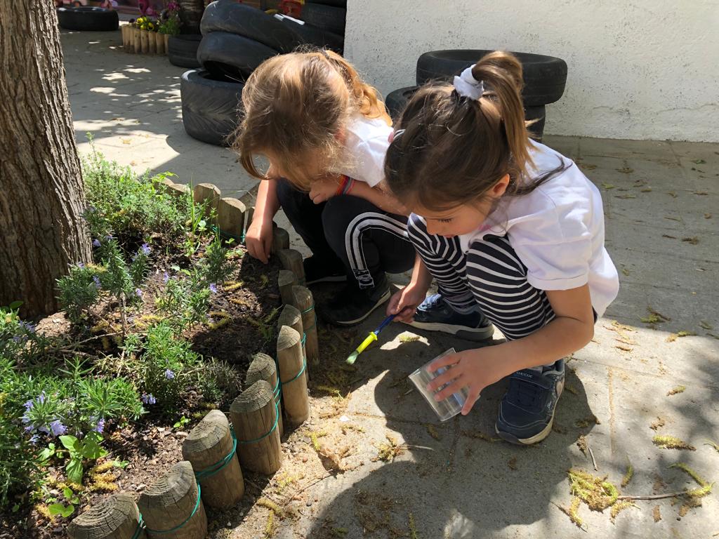 vedrunacent's tweet photo. Sortim a descobrir els insectes que viuen al nostre pati!🐝🐞🦋🌞
#P4SSCC https://t.co/edp6jkiOy1