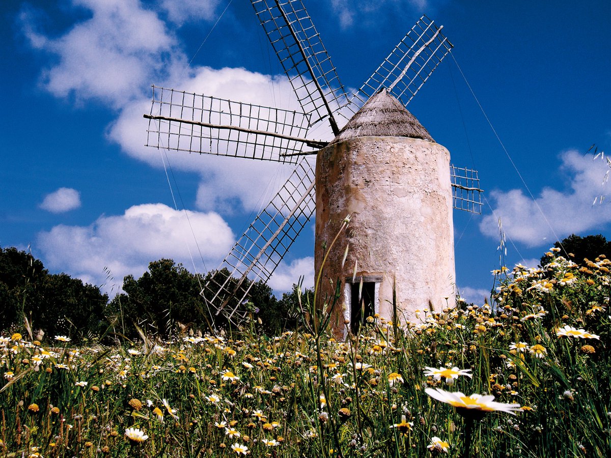 📺#MVMagTV22 <a href="/visitformentera/">Visit Formentera</a> 

Sus 7 #MolinosDeViento, legado de los s. XVIII y XIX, entre ellos el #Molí vell de #LaMola, el más bello y mejor conservado de la isla, que puede visitarse en su interior.

<a href="/negocios_tv/">Negocios TV</a> <a href="/MovistarPlus/">Movistar Plus+</a> 
👇#TV
ow.ly/7G2850IWfS8