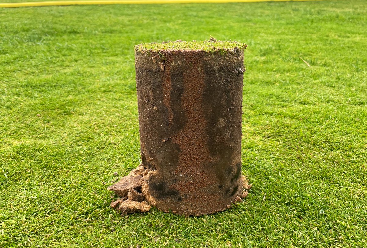 IntoGrass tweet media