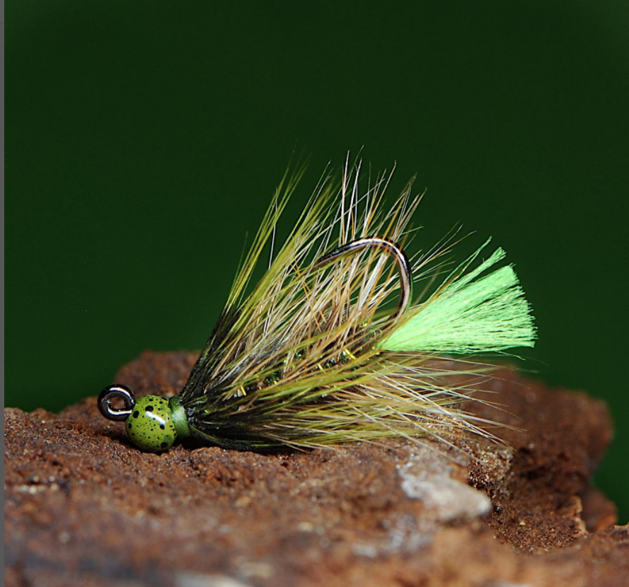FarmsWhiting's tweet photo. Sweet bugger from bead to tail
@freddysflyz
Fun to tie and even more fun to fish, mini-buggers are the ticket! Tie some and try 'em!
.
 #flytying #flytyingjunkie #flytyingaddict #flytyingnation #flytyingart #flytyer #tyingflies  #flyfishing #woolybugger #whitingfarms https://t.co/YrDpS5KH8L