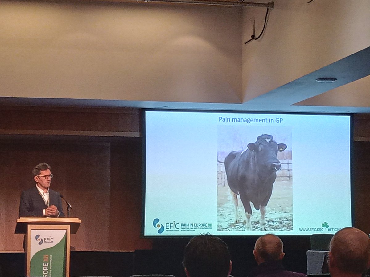 Dr Diarmuid Quinlan (Medical Director, Irish College of General Practitioners) "Opioids for Acute and Chronic Pain - the General Practice Perspective" #EFIC2022 #IPS_21