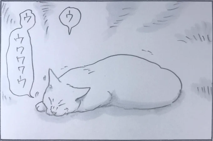 『猫も夢を見る』 