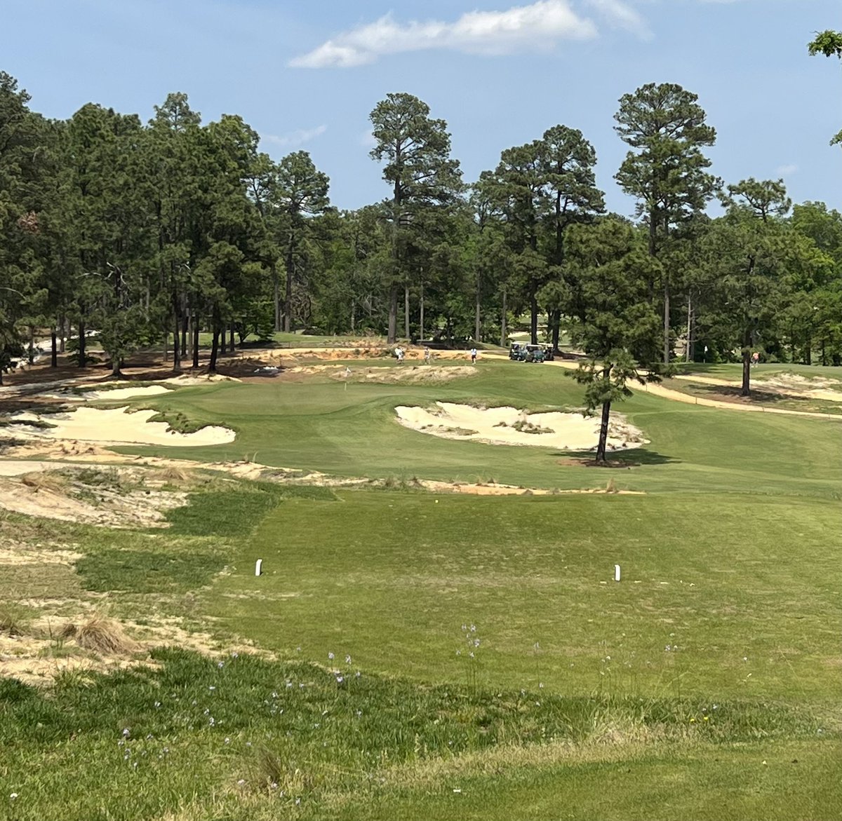 Nick Bradley tweet media