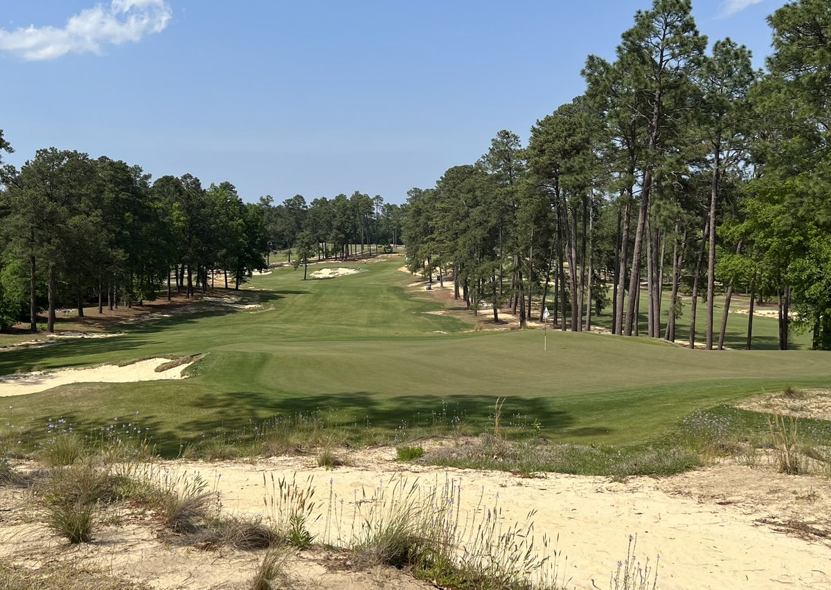 Nick Bradley tweet media