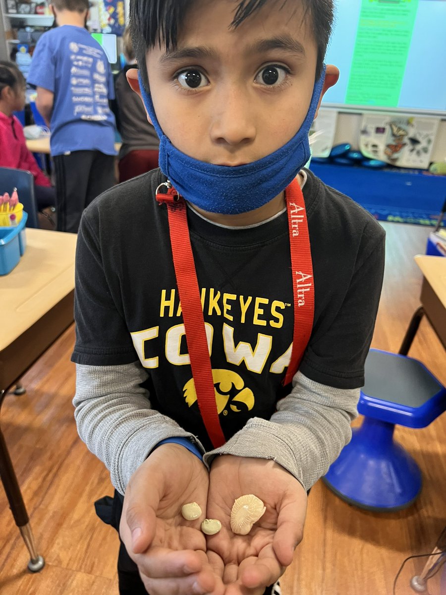 msginelles2nd's tweet photo. #pltw Form and Function unit!  We made window greenhouses. Observing 👀 like scientists for growth and plant parts.  We just need Mother Nature to cooperate with sun and warmth!  🔎☀️ https://t.co/C3IK27Hkl0