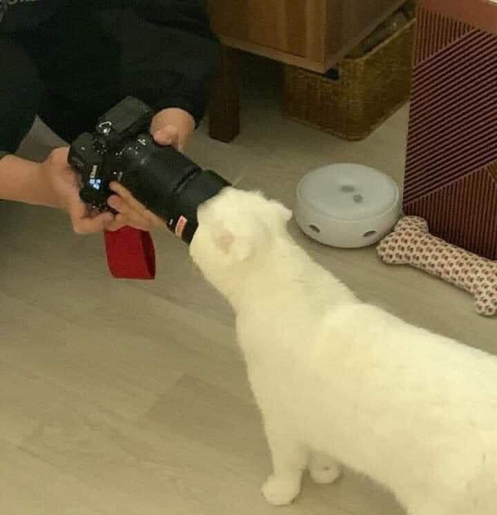 ขอถ่ายรูปหน่อยนะ