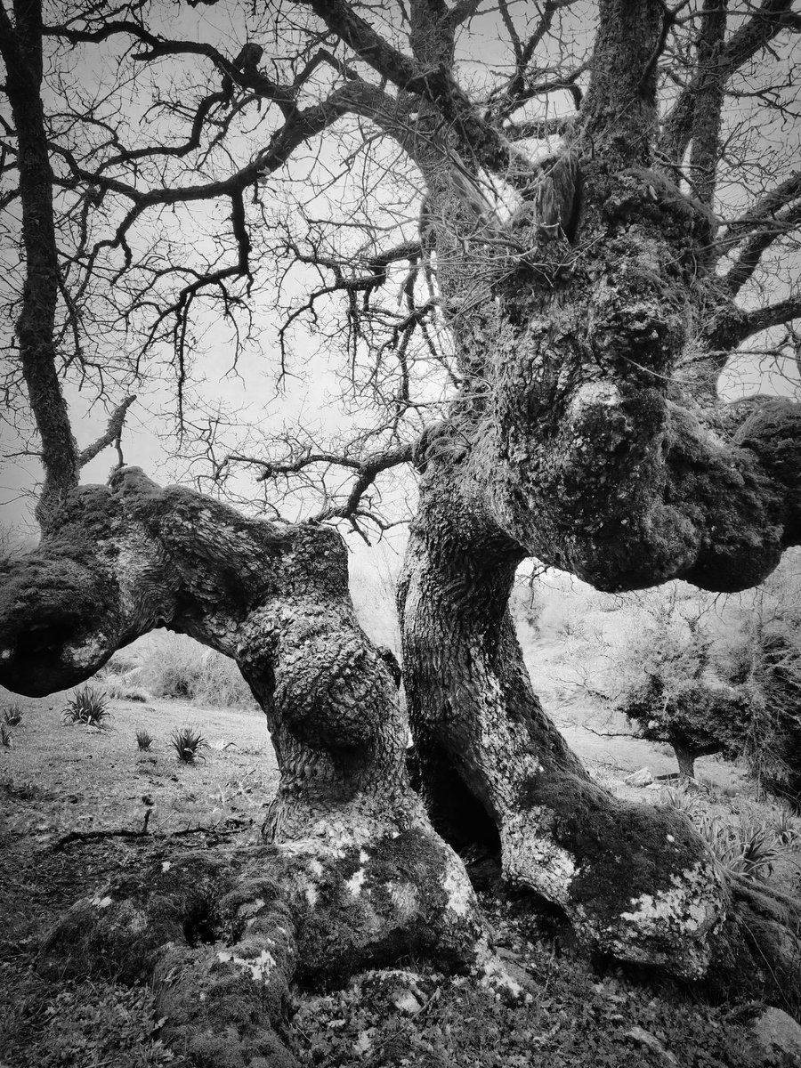 Andy Gibson tweet media