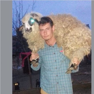 LucaTrascau's tweet photo. #NewProfilePic https://t.co/agxxqy97Tc