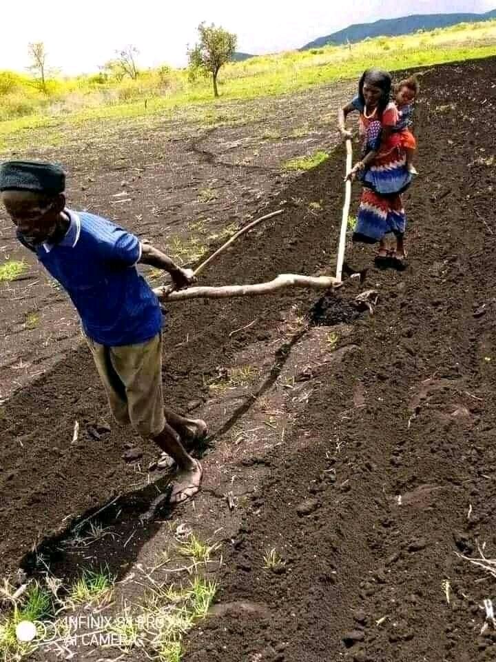 BonsaJaal's tweet photo. Lafa dhallii namaa akka qotiyyoo lafa qotachaa jirtuutti kaabinoonnii godina booranaa rakkoo uummataa dhoksuuf kijibaa suuraa ka’uufi akkas godhatanii jedhanii itti qoosuu 
Yaa rabbii uummata oromoo qaabadhii!

Suuraa godina booranaati! https://t.co/GYjBkdyPPI