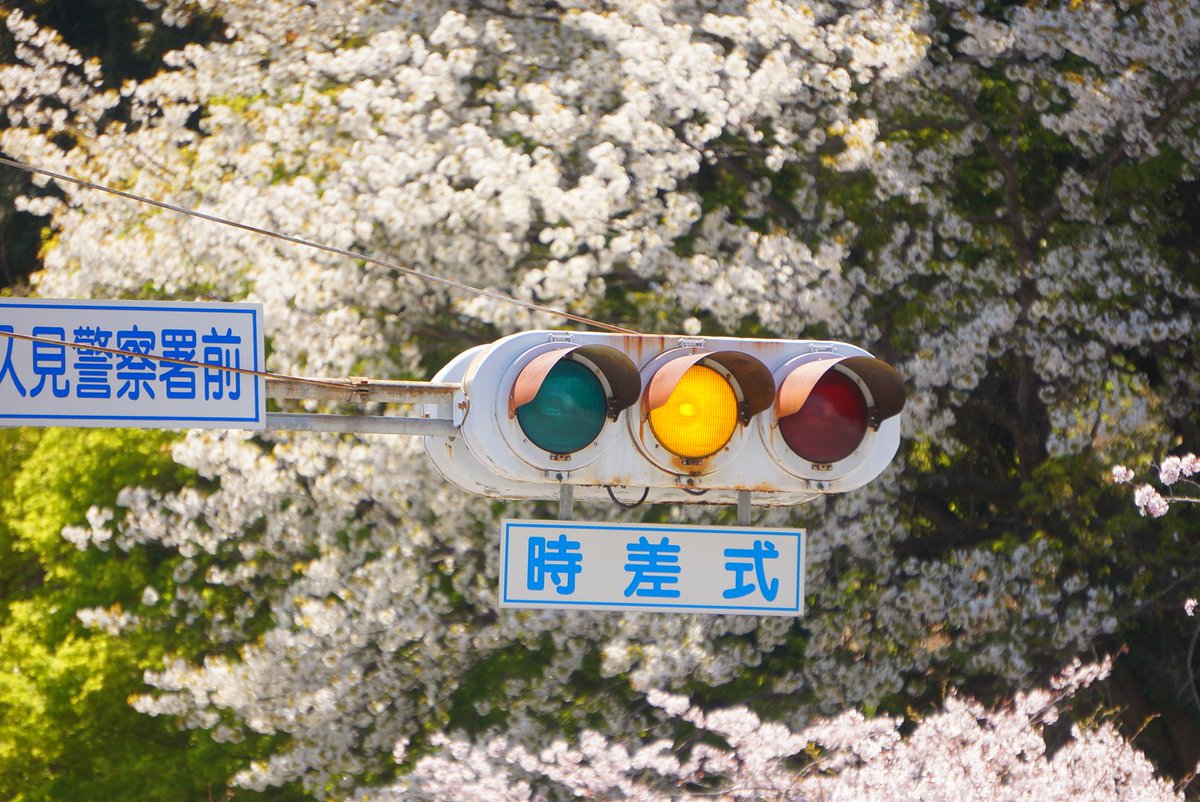 ciae86's tweet photo. 臼杵市のｵｽｽﾒ信号機4選

1枚目から
畳屋町
臼杵津久見警察署前交差点
浜 中須賀橋西
末広橋先交差点
#大分信号機 https://t.co/2pEgefsUF1