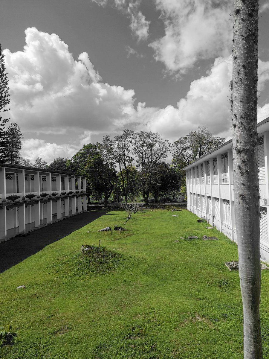 Gaby_Daya02's tweet photo. 📷Vista de mi facultad de construcciones #arquitectura https://t.co/A5vPmcxcWm