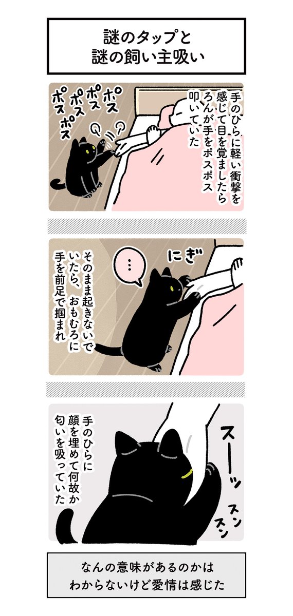 寝てる飼い主に対していろいろ予想外のアクションをおこしてくれるので毎朝けっこう楽しい #ろんの絵日記 