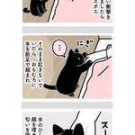 布団から出るのが辛い朝でも楽しい気分で起きられそう!飼い猫の、想定外だけど可愛い行動を描いた漫画が話題に!