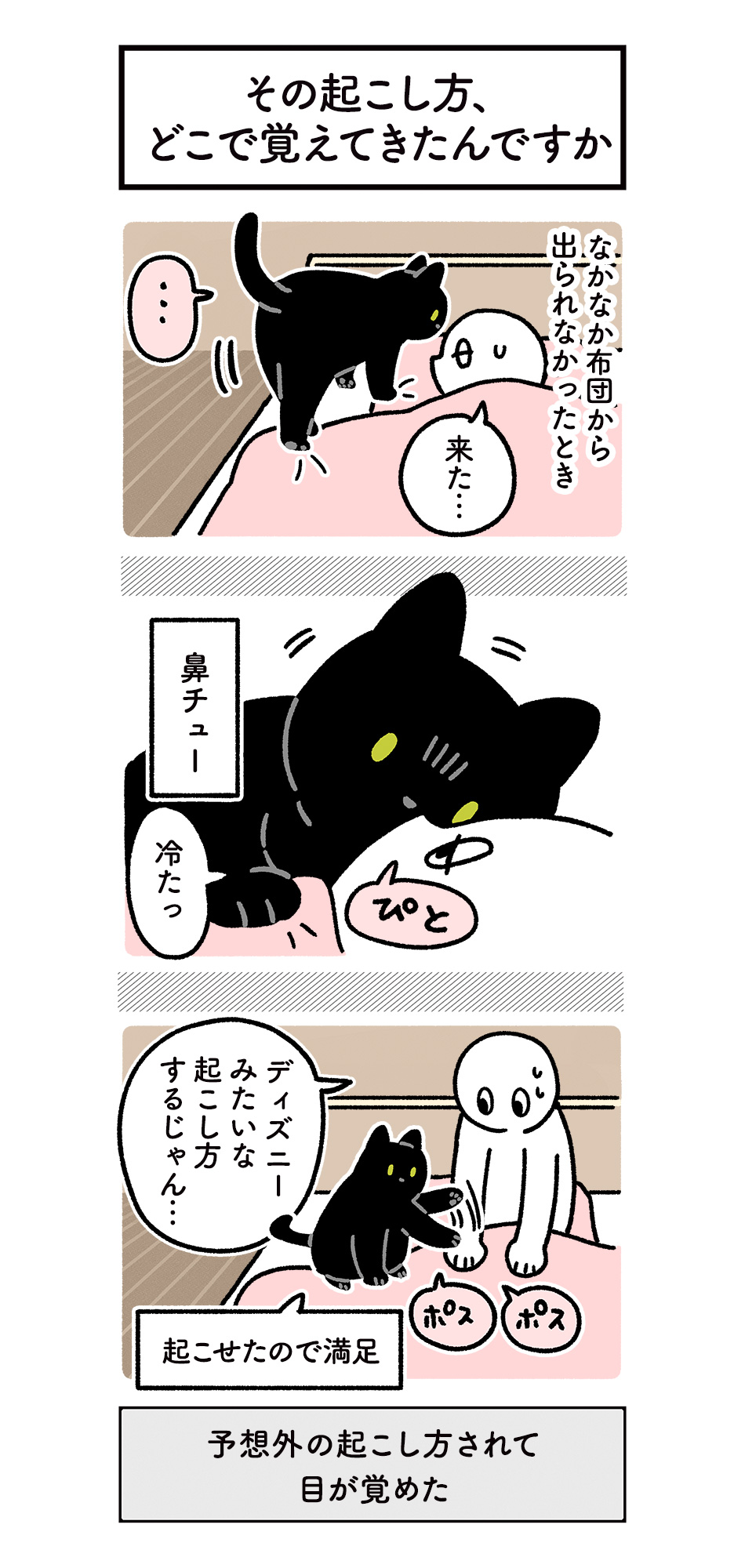 布団から出るのが辛い朝でも楽しい気分で起きられそう 飼い猫の 想定外だけど可愛い行動を描いた漫画が話題に 話題の画像プラス