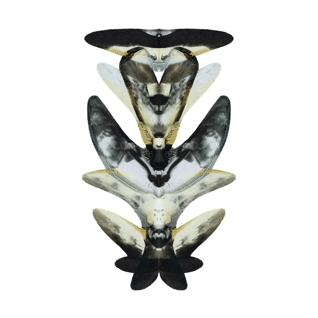 nft0tem's tweet image. 0407/1000 - Relics From The Future Collection.
#nft #art #abstractart #cryptographic #painting #artcommunity #nftcommunity