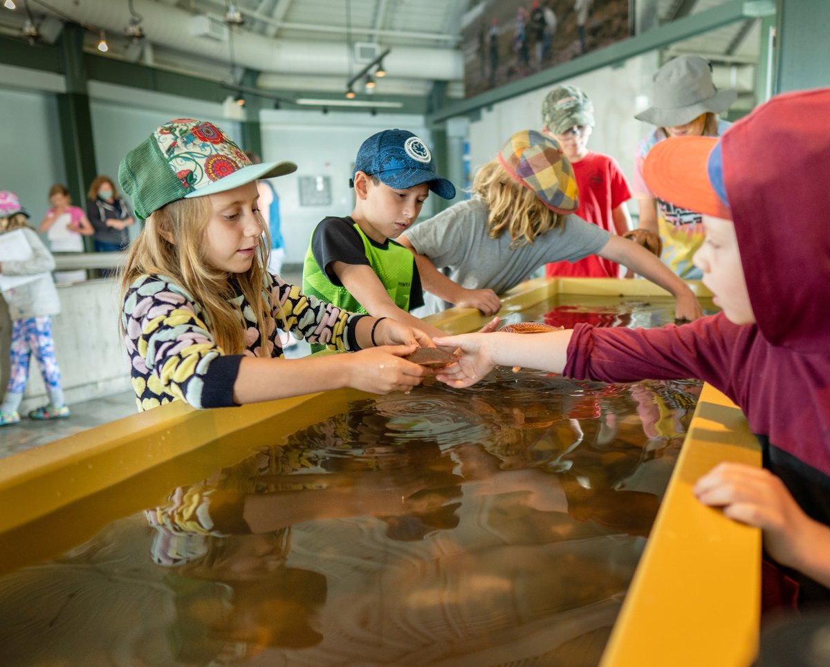 During the 2021-2022 fiscal year <a href="/HuntsmanMarine/">Huntsman Marine</a> had 28,777 guests visit our #FundyDiscoveryAquarium, 86% of pre-COVID numbers!