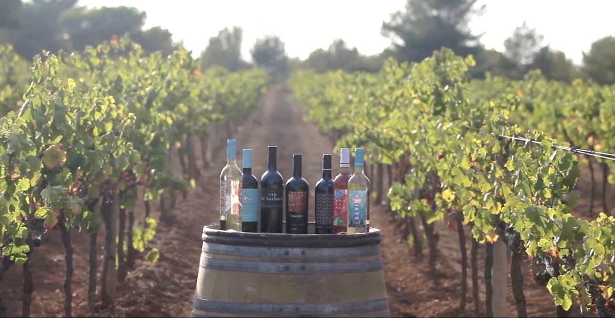MiradasViajeras's tweet photo. 📺#MVMagTV22 @visitformentera
#JoséAbalde de las #bodegas @TerraMoll y #RobertRibas de la bodega #CAPdeBarbaria revindican el #VinoDeFormentera, comercializado solo en la isla.
@negocios_tv @MovistarPlus
👇#TV
https://t.co/ZADZYLZp0B https://t.co/FTaN0vGVl1