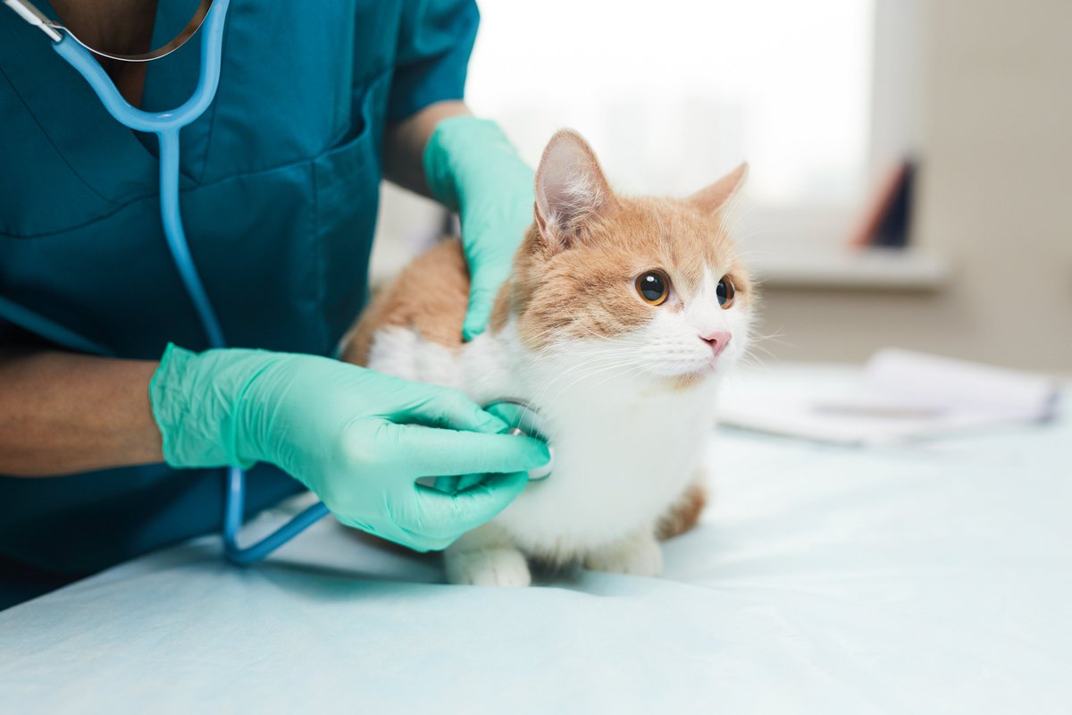 TUBITAK Academic Journals (@academictubitak) on Twitter photo Happy Veterinary Day to veterinarians who have always been there to help animals with love. The researchers working on the related fields of veterinary are more than welcome to be evaluated in our journal journals.tubitak.gov.tr/veterinary/ind…
<a href="/Tubitak/">TÜBİTAK</a> <a href="/TubitakUlakbim/">TÜBİTAK ULAKBİM</a> #Academic #veterinaryday Happy Veterinary Day to veterinarians who have always been there to help animals with love. The researchers working on the related fields of veterinary are more than welcome to be evaluated in our journal journals.tubitak.gov.tr/veterinary/ind…
<a href="/Tubitak/">TÜBİTAK</a> <a href="/TubitakUlakbim/">TÜBİTAK ULAKBİM</a> #Academic #veterinaryday