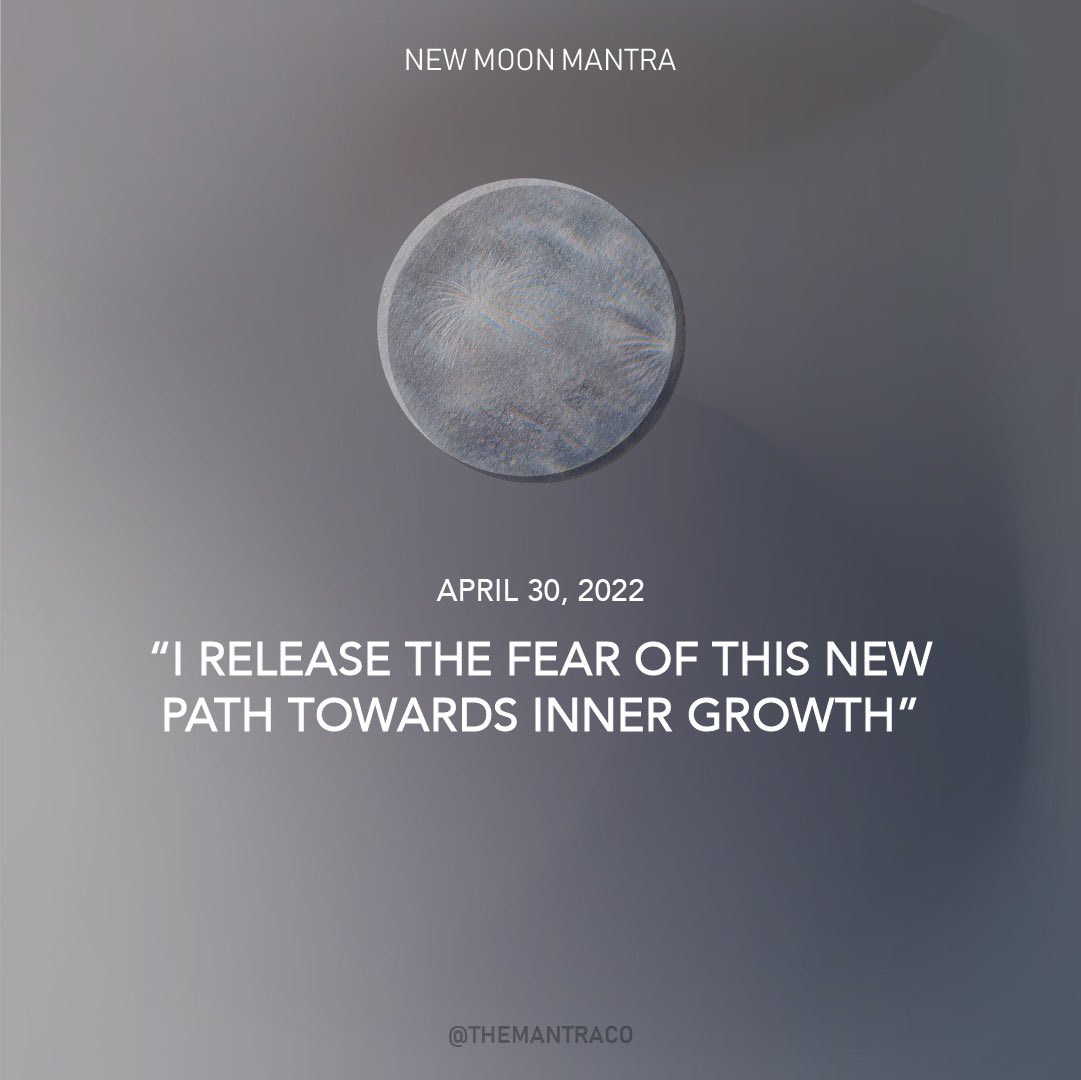 themantraco's tweet photo. The new moon marks the beginning of a new lunar cycle and often brings with it an array of new beginnings. It’s the perfect time for setting intentions, course correction, &amp; starting something new. ⁠
⁠
💫 Repeat this affirmation throughout the day &amp; in your new moon ritual. https://t.co/FF6F8rtBpO