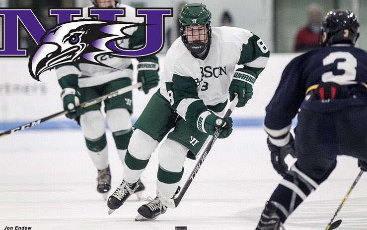 It’s hard to put into words how thankful I am for my teammates, coaches, and family for an unbelievable experience at Babson. I’m excited to announce I will be using my last year of eligibility to play Division 1 college hockey at Niagara University. #PurpleEagles